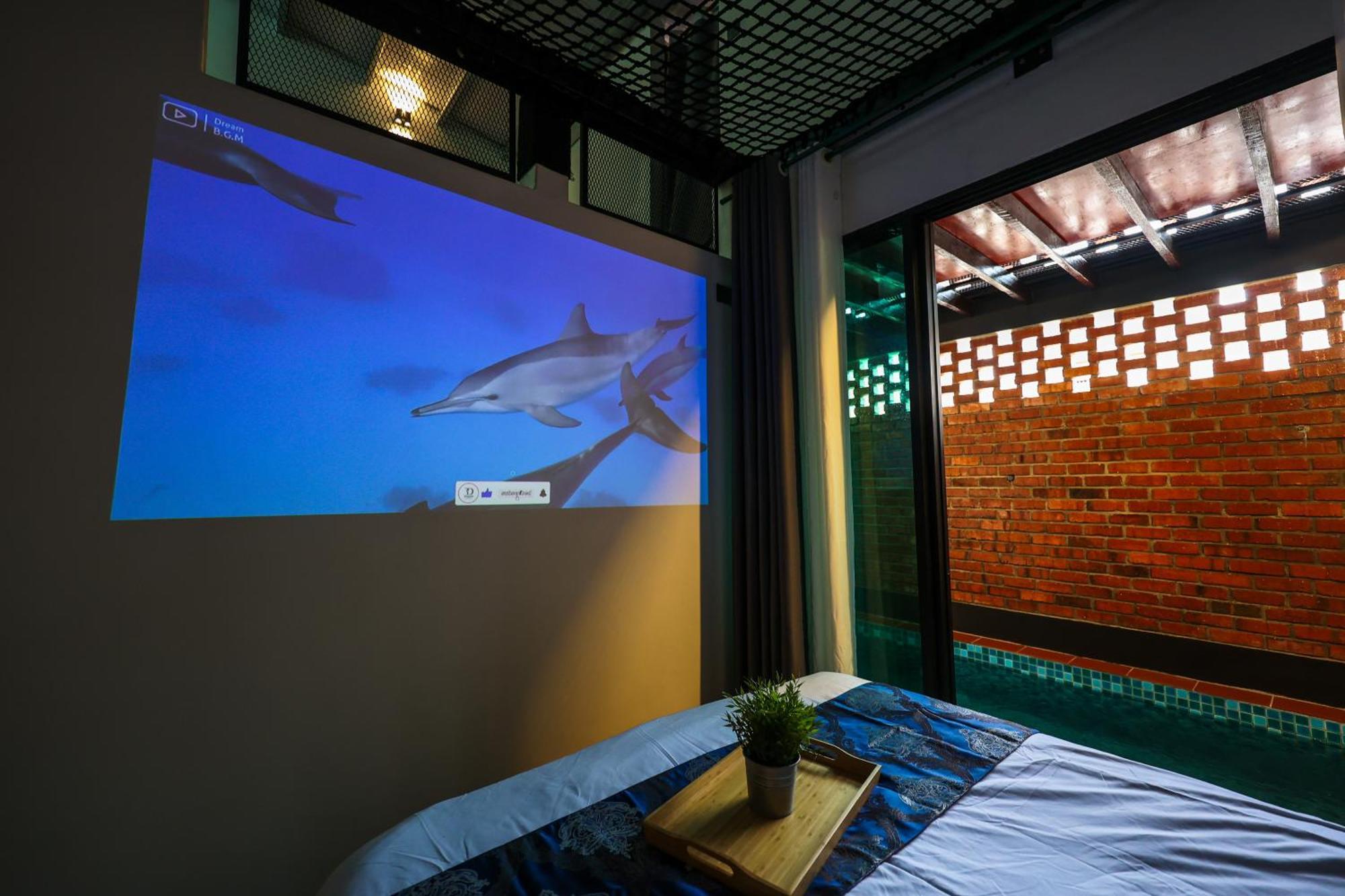 35 Cozy With Projector Pool Bbq Evcharger *